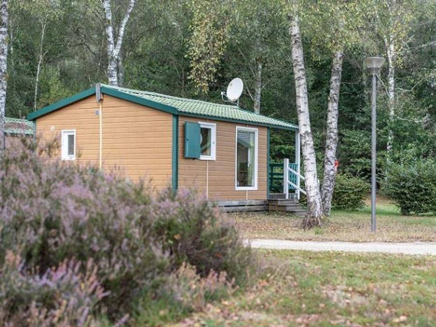 Camping Ushuaia Villages la Presqu ile - Chalet 4 personen - Chalet Eco 2 Zimmer 4 Personen in Royère-de-Vassivière, Regionaler Naturpark Millevaches en Limousin