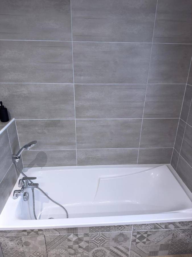 Location de vacances pour 7 personnes, avec jardin à Pujols-sur-Ciron - 3