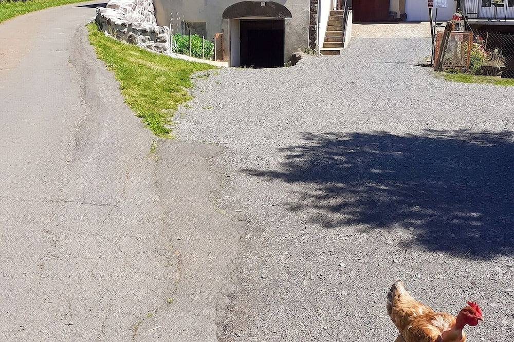 Homerez - Maison à Landos in Landos, Haute-Loire