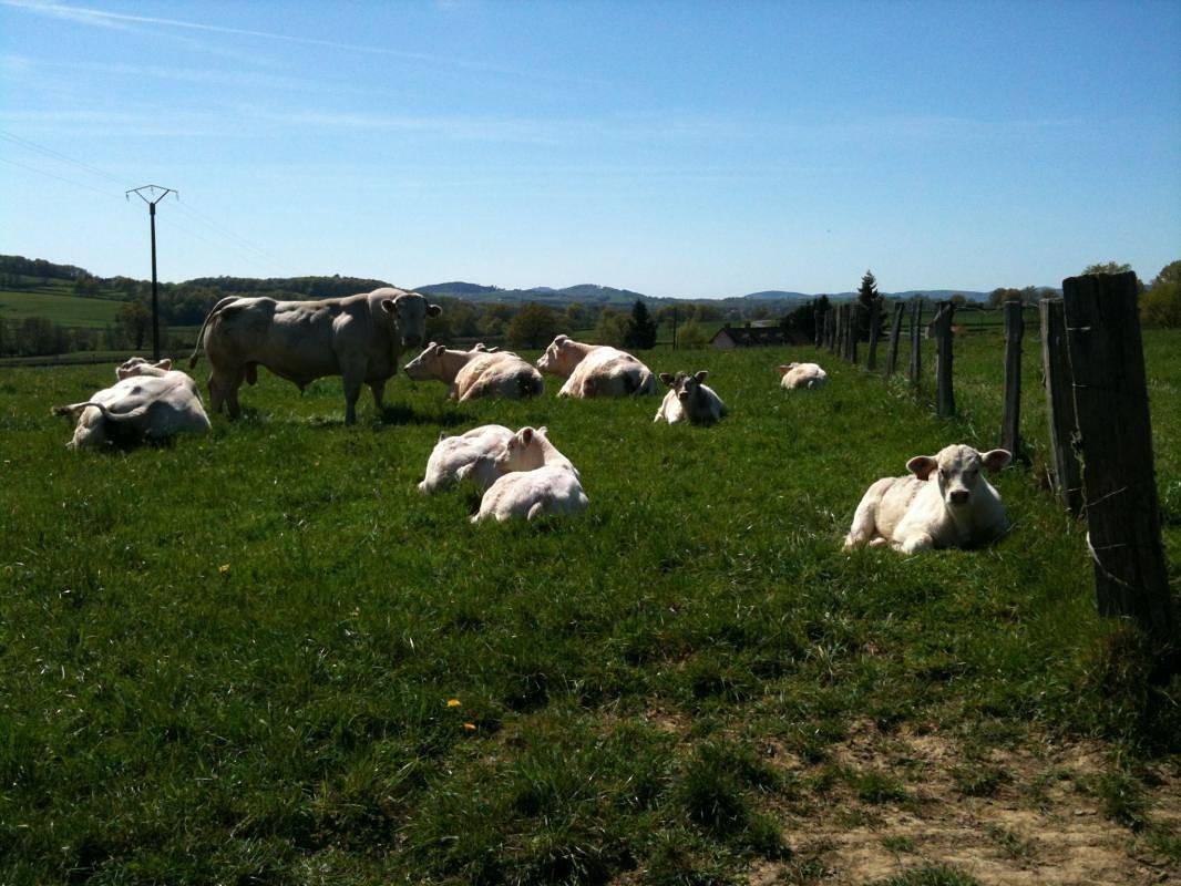 Gîte für 4 Personen mit Garten in Mesvres, Naturpark Morvan