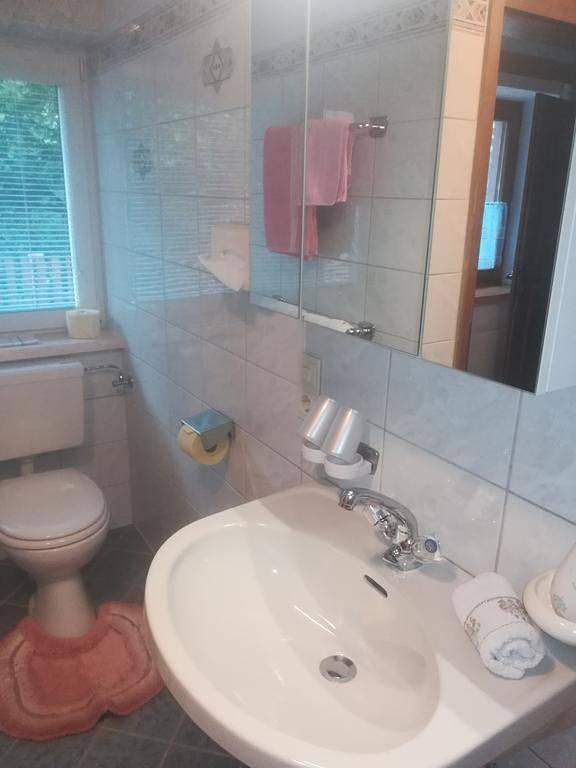 Ganze Ferienwohnung, Apartment Penken in Finkenberg, Zillertaler Alpen