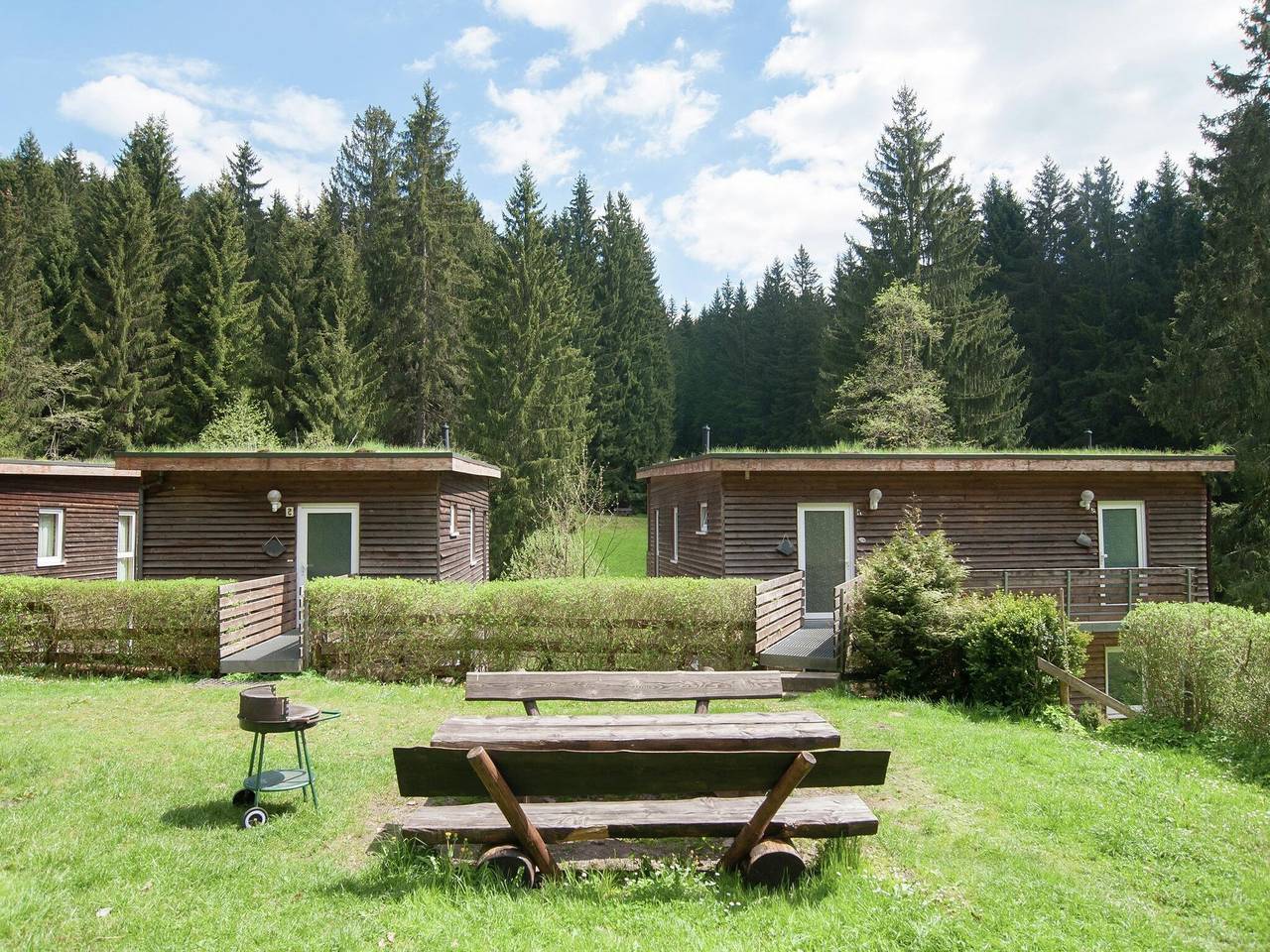Ferienhaus im Thüringer Wald Skigebiet in Großbreitenbach, Rennsteig