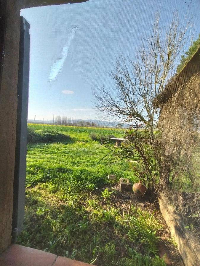 Gîte pour 5 personnes, animaux acceptés à Bordils - 3