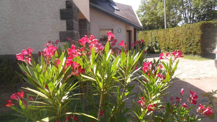 Gîte pour 3 personnes, avec terrasse et jardin, animaux acceptés à Rochefort-Montagne