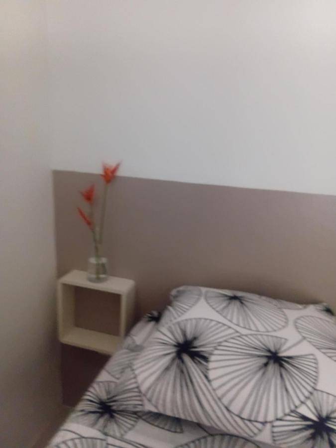 Gîte pour 2 personnes, avec jardin et terrasse dans Anse Figuier - 2