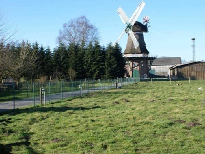 Ferienwohnung für 4 Personen, mit Garten und Terrasse, kinderfreundlich in Leer - 3
