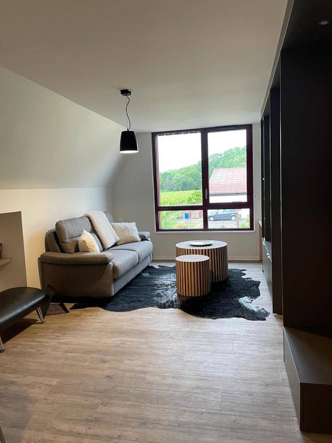 Gîte pour 2 personnes, avec vue, animaux acceptés à Kientzheim - 2