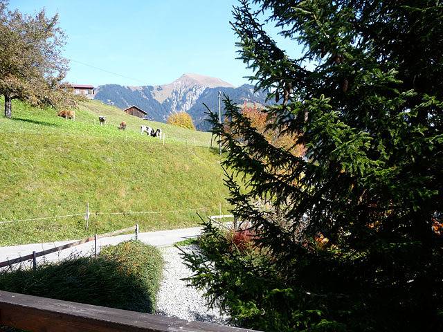 Appartement de vacances entier, Ferienhaus Terlischa - 4.5 Zimmer Ferienhaus in Massif du Rätikon, Seewis im Prättigau