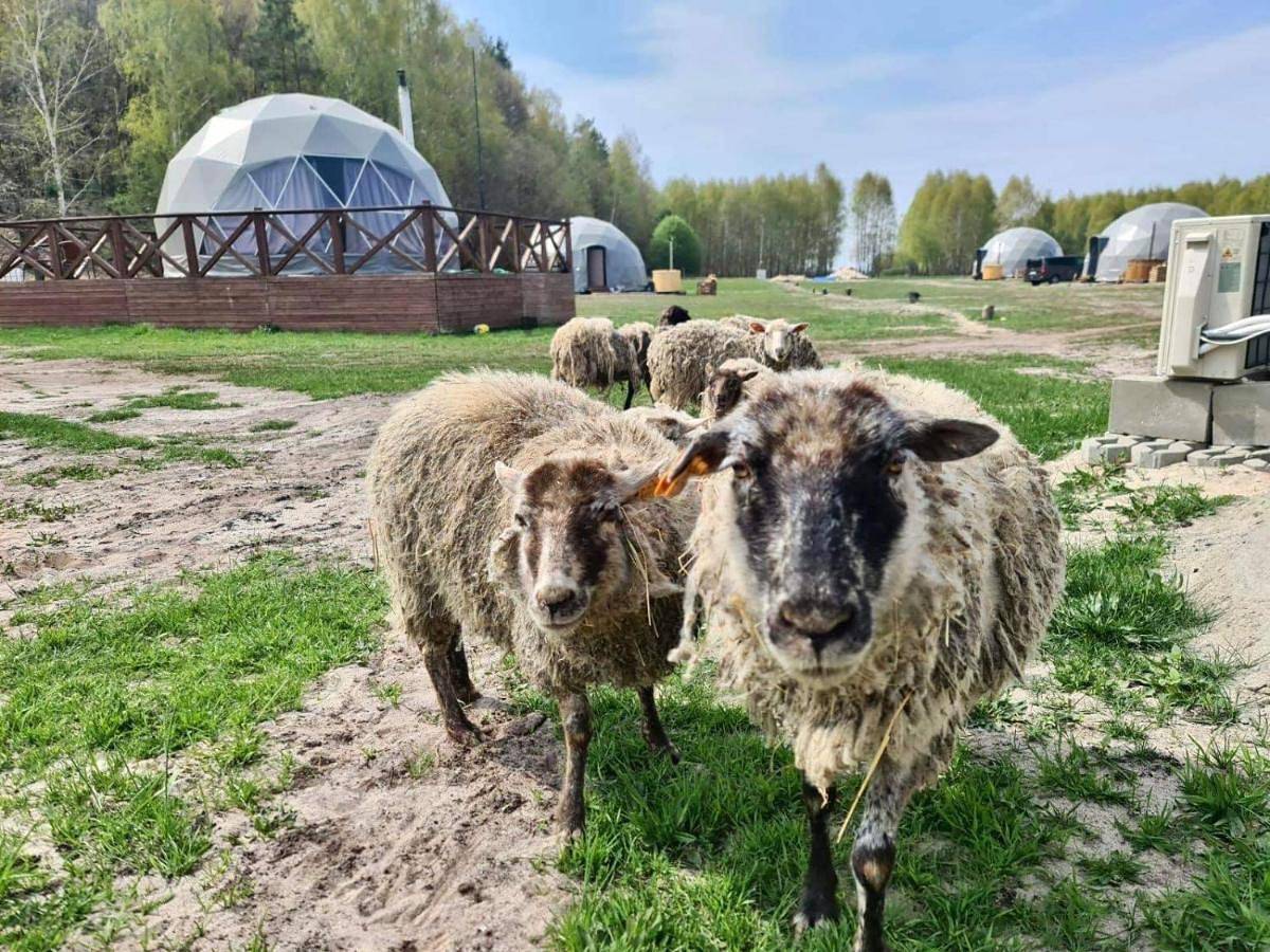 Domek letniskowy dla 4 osób z widok in Województwo zachodniopomorskie