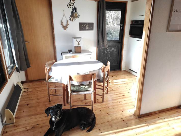 Bungalow für 2 Personen, mit Sauna und Garten, mit Haustier in Kellenhusen - 3