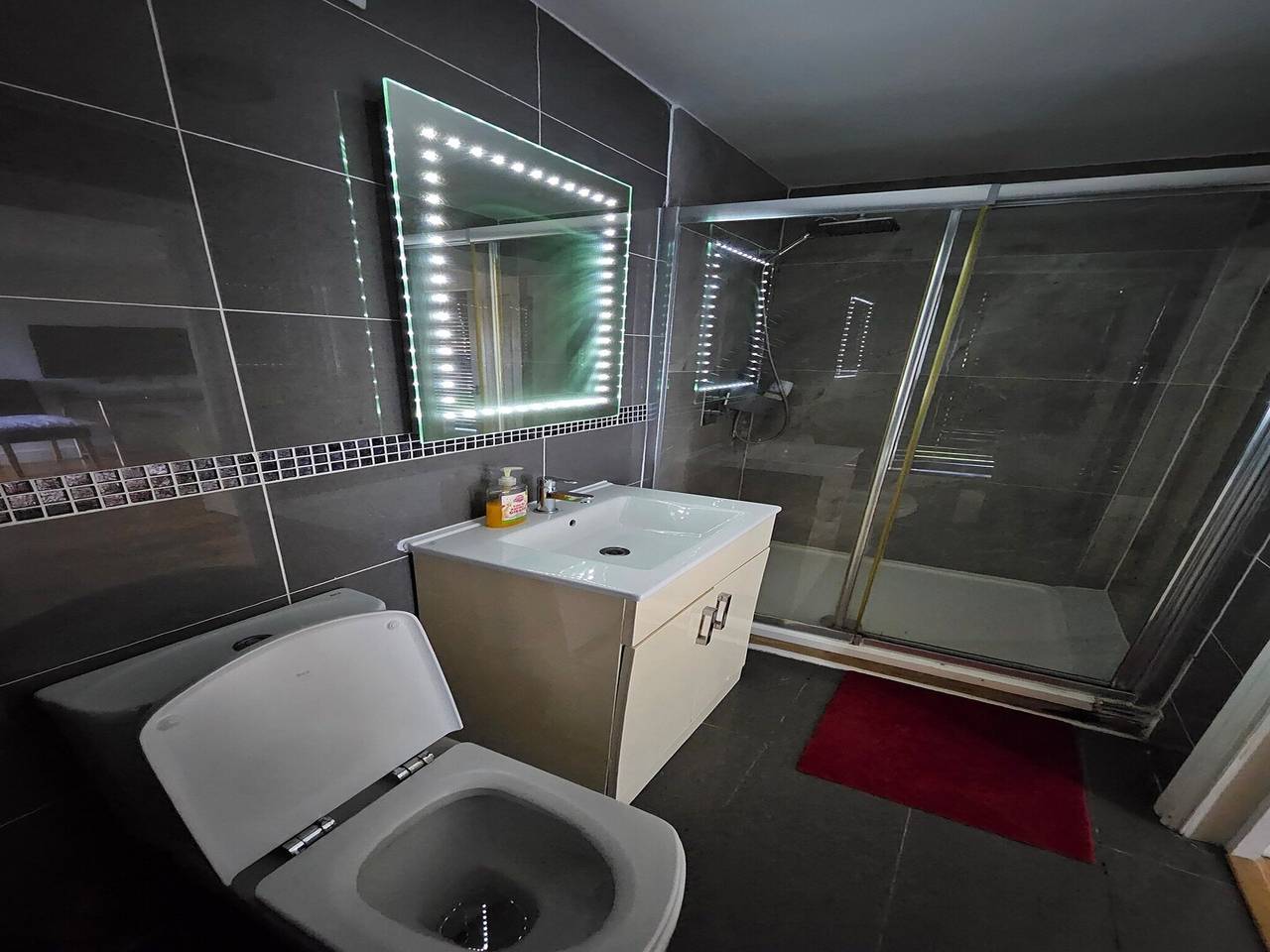 Entire apartment, One Bed Room Apartment (4 Guest) in Windsor, Berkshire