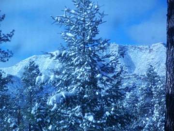 Log Cabin for 6 Guests in Arizona, USA, Picture 1