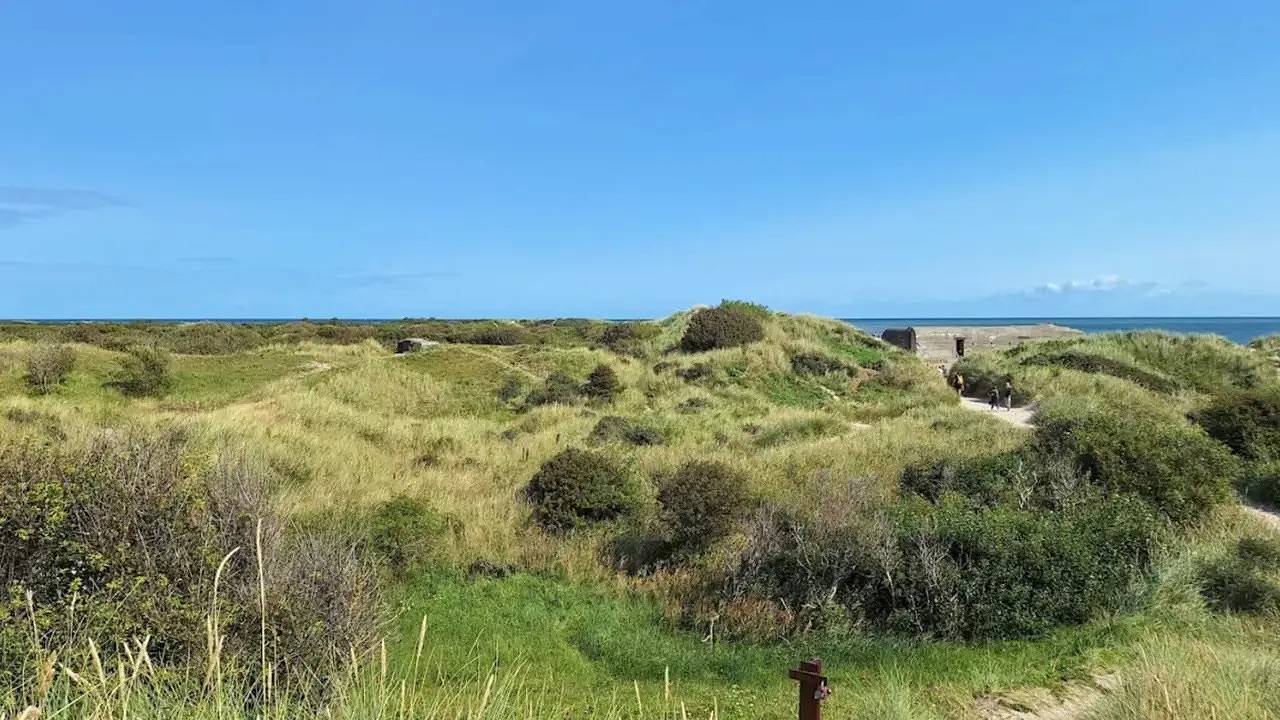 Ferienhaus für 6 Personen (45 m²) in Skagen in Skagen, Tannis Bugt