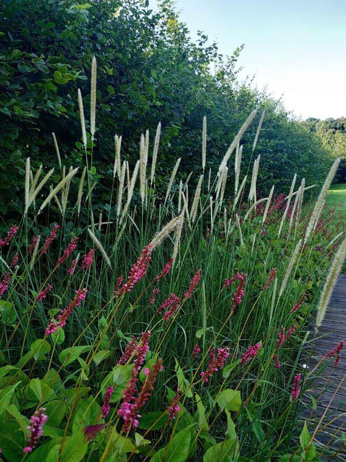 Location de vacances pour 3 personnes, avec jardin et vue à Conteville - 4