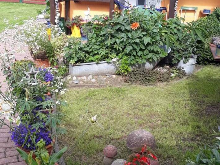 Bungalow für 4 Personen, mit Garten in Ribnitz-Damgarten - 4