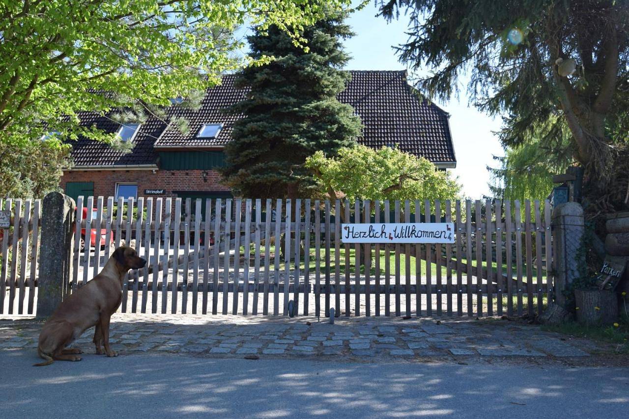 Ganze Wohnung, Alpakatherapie und Ferienhof Charlottenthal in Krakow am See, Mecklenburgische Seenplatte