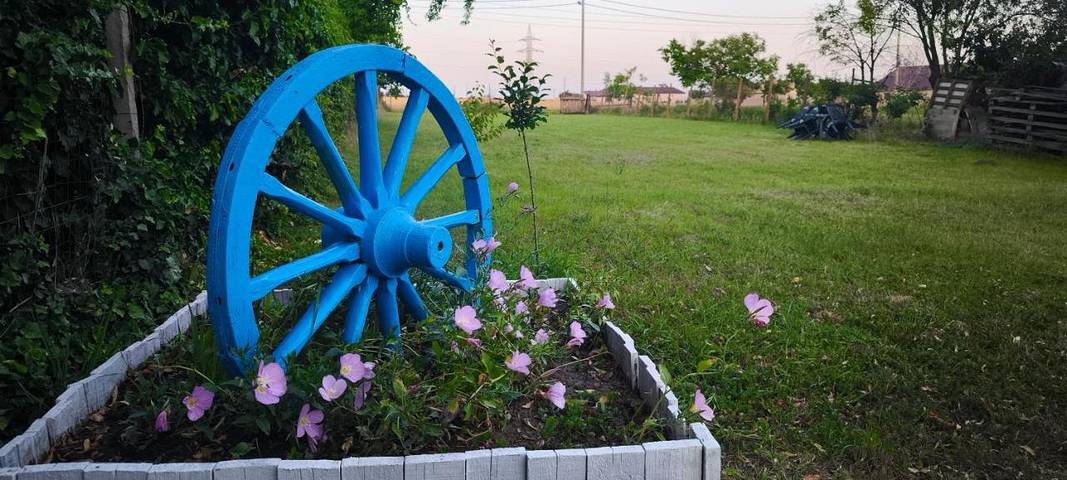 Maison d’hôte pour 5 personnes, avec Terrasse et Jardin dans Constanța - 3