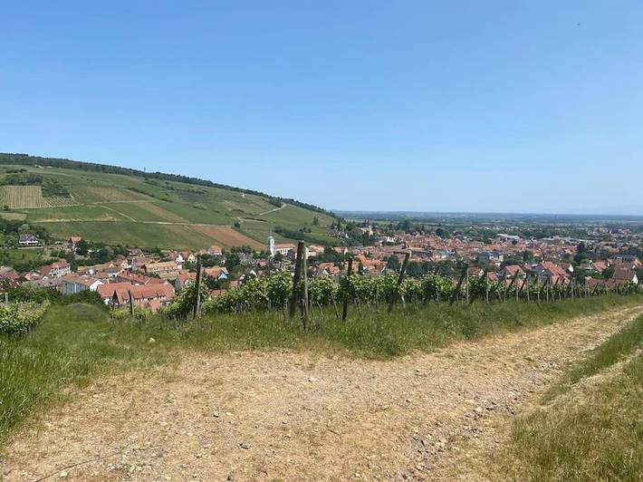 Gîte pour 6 personnes, avec vue à Barr - 3