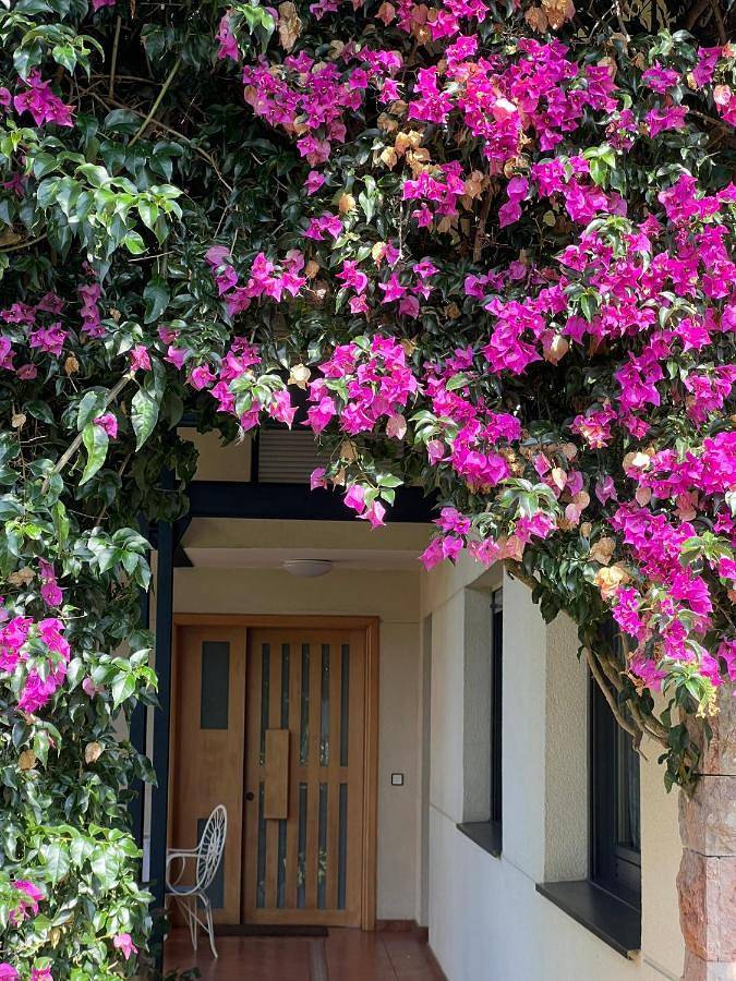 Casa rural para 13 personas, con Terraza además de Jardín y Vistas en Celorio - 3