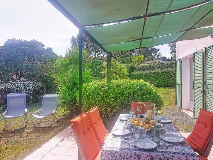 Olivier in Mougins, Mittelmeerküste (Frankreich)