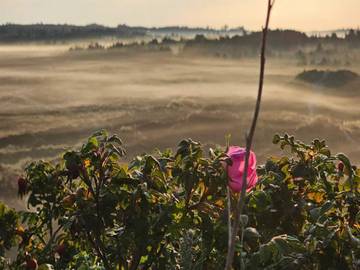 Ferienhaus für 6 Personen in Henne Strand, Filsø See, Bild 2