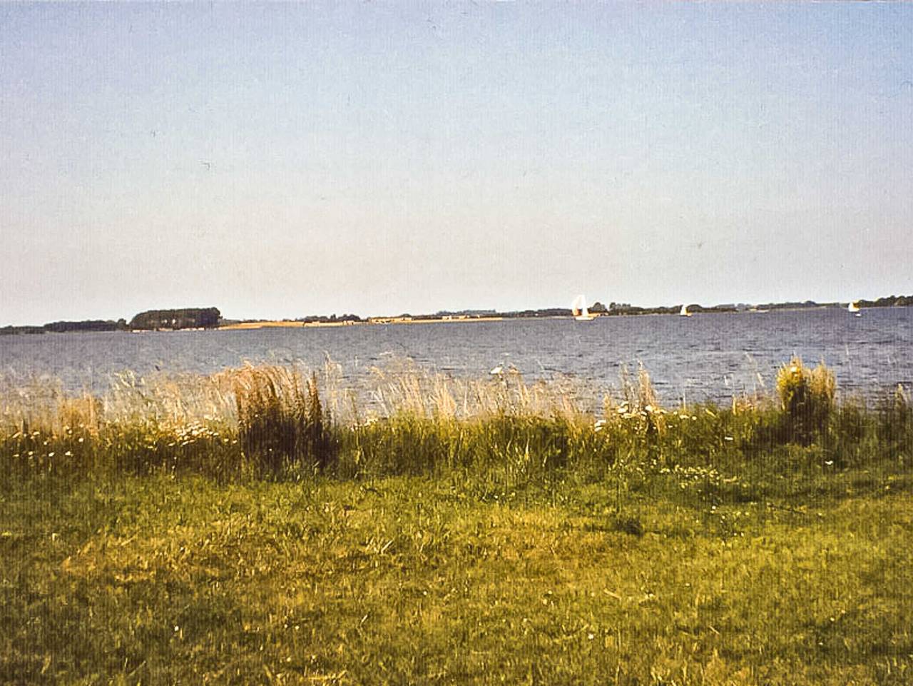 Ferienbungalow - Bungalow in Sundhagen, Stralsund Umland