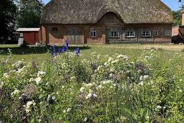 Bauernhof für 5 Personen, mit Garten am Schweriner See