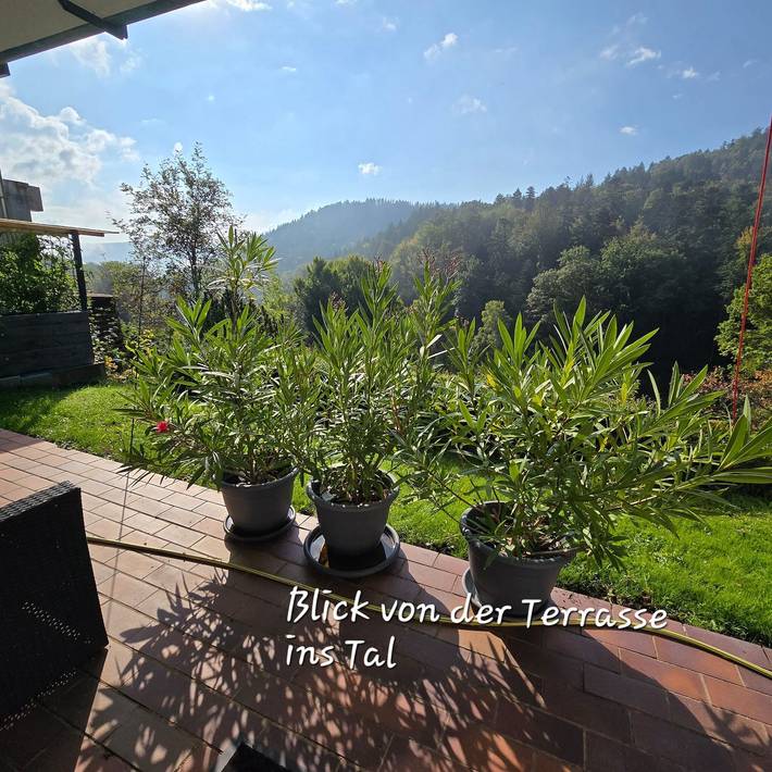 Gîte pour 4 personnes, avec jardin à Bad Herrenalb