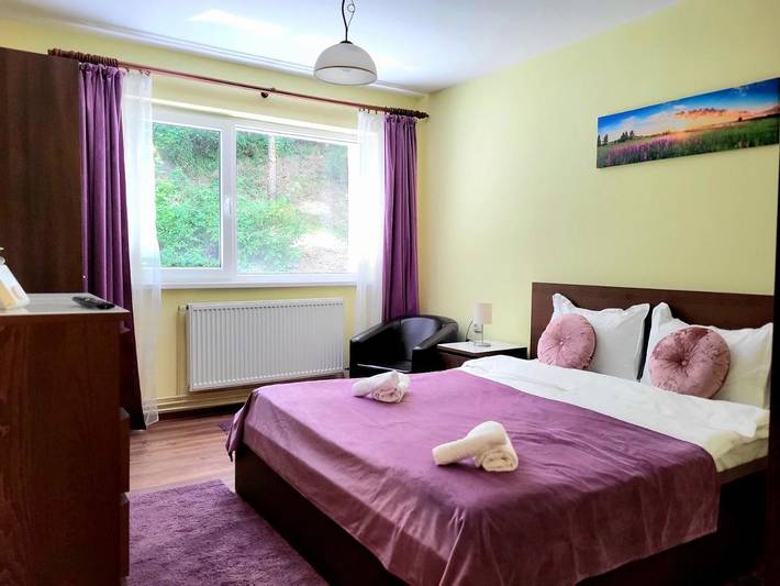 Gîte pour 4 personnes, avec jardin et vue à Sinaia - 3