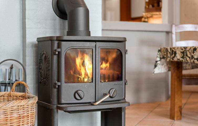 Ferienhaus für 6 Personen, mit Whirlpool und Sauna sowie Garten in Filsø See - 4