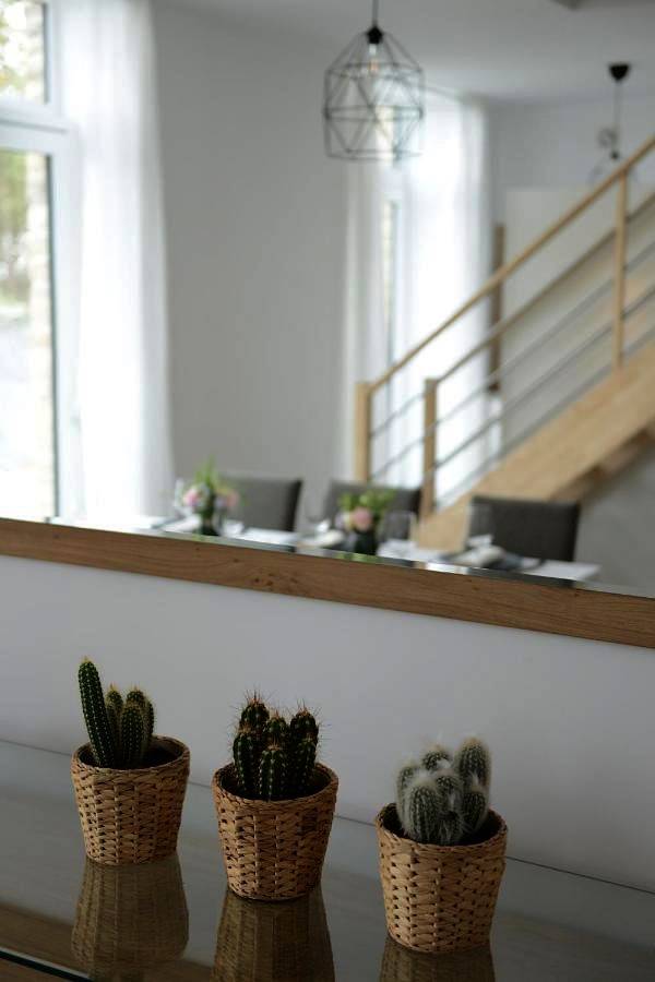 Robert in Huy, Région de Liège