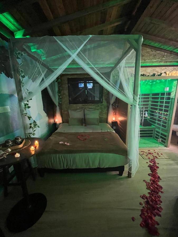 Gîte pour 2 personnes, avec jardin et jacuzzi ainsi que sauna et terrasse à Saints - 3