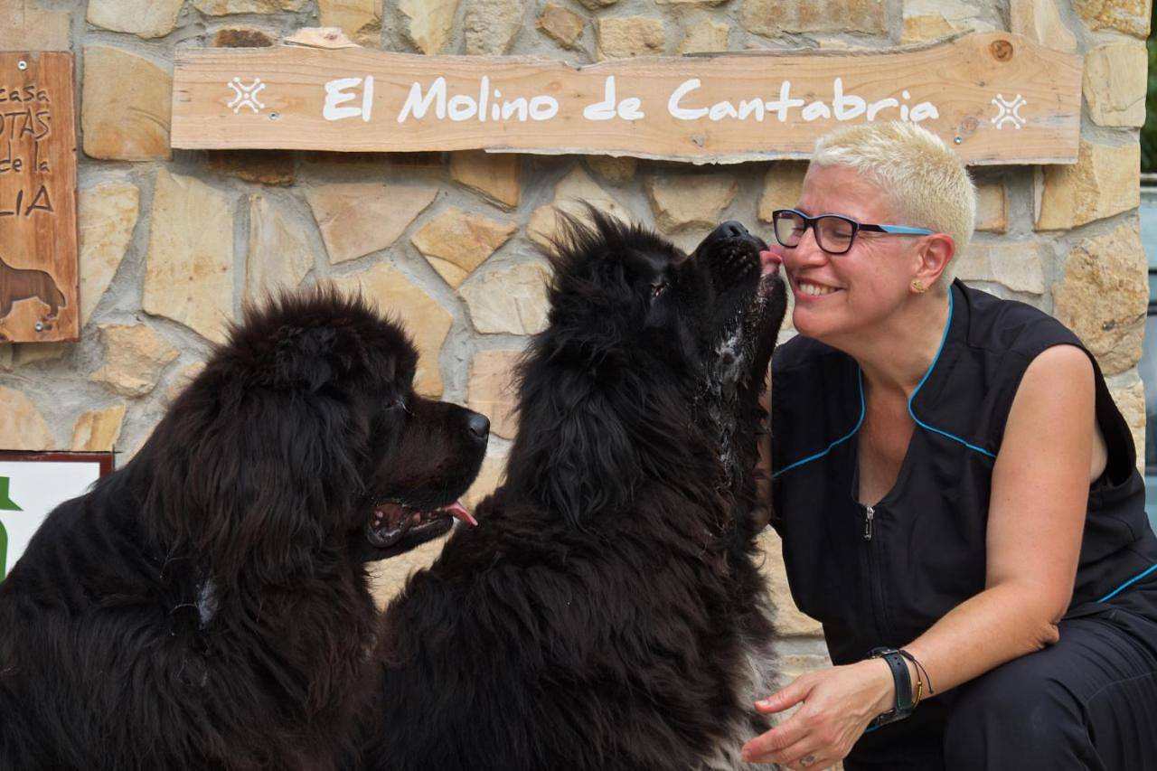 Posada Petfriendly El Molino de Cantabria - Hotel Rural B&B - in Entrambasaguas, Costa de Cantabria