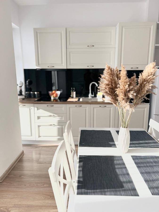 Gîte pour 4 personnes, avec Balcon ainsi que Terrasse et Vue dans Baia Mare