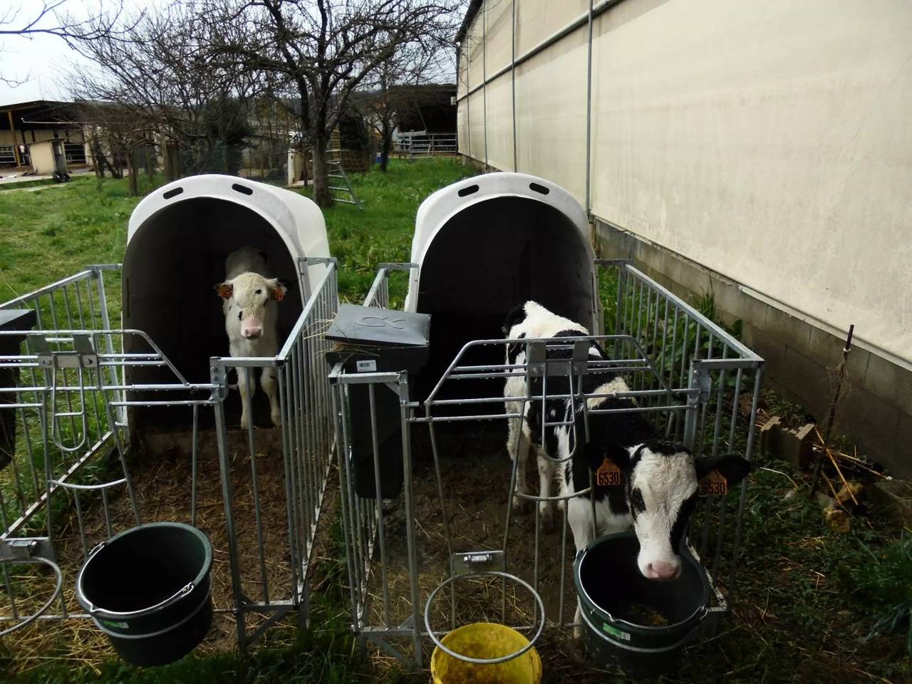 Casa 7 Personas in Montignac, Périgord Noir