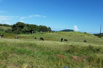 Camping für 5 Personen in Vézac (Cantal), Zentralmassiv, Bild 4