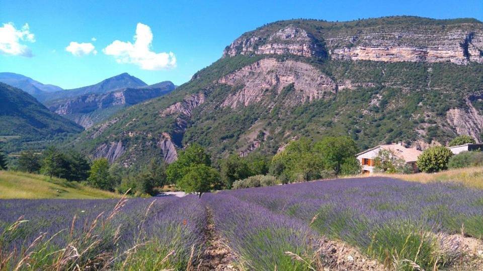 Double Room with Private Bathroom in Rémuzat, Région de nyons
