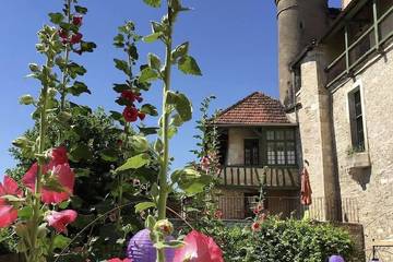 Location de vacances pour 31 personnes, avec jardin, animaux acceptés à Noyers