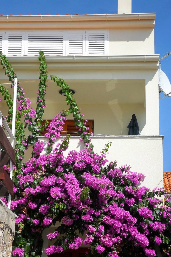 Ganze Wohnung, 1-Zimmer-Ferienwohnung mit Terrasse und Meerblick Zadar - Diklo, Zadar -a in Zadar Stadt, Zadar (Kommun)