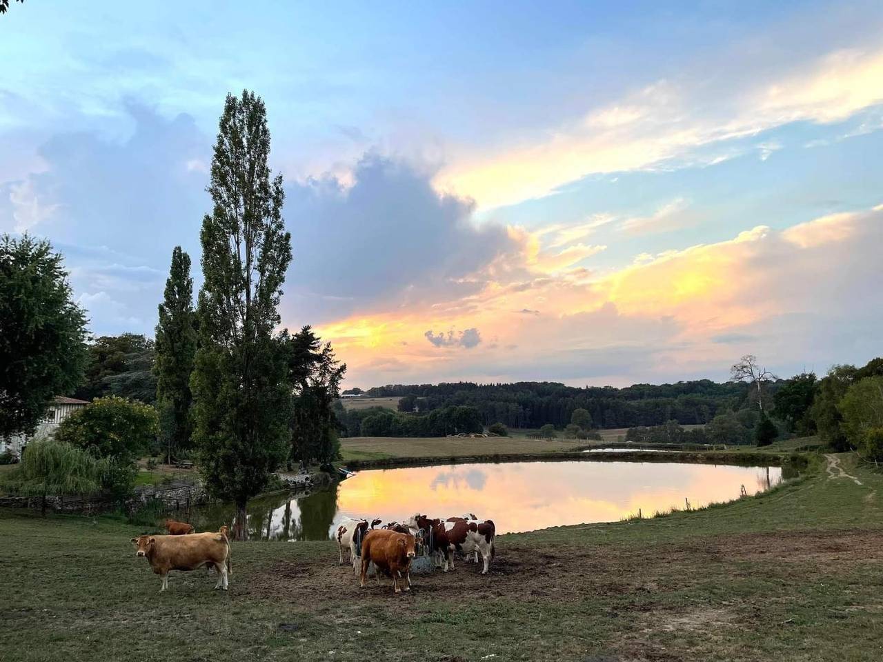 Le Masbareau, Gîte le Vieux Domaine in Royères, Región de Limoges