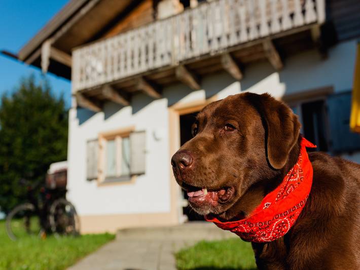 Ferienhaus für 4 Personen, mit Pool und Terrasse sowie Sauna, kinderfreundlich in Bayern - 3