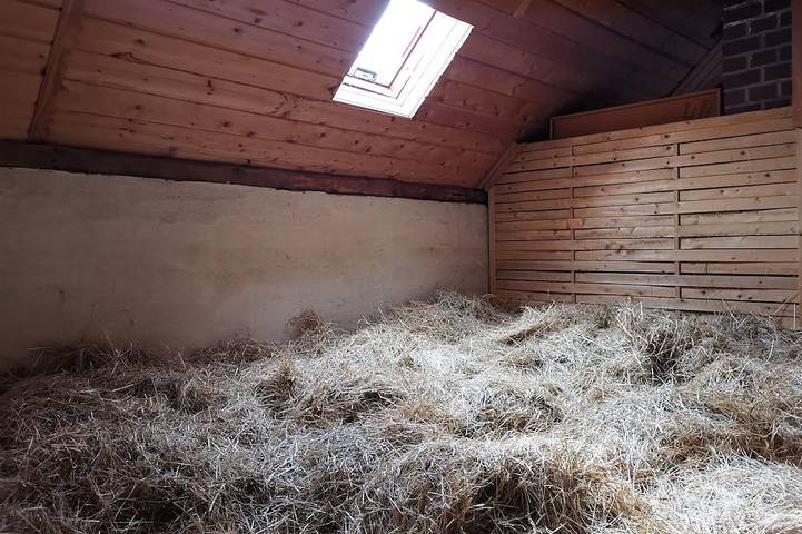 Bauernhof für 2 Personen, mit Garten im Lausitzer Seenland - 2