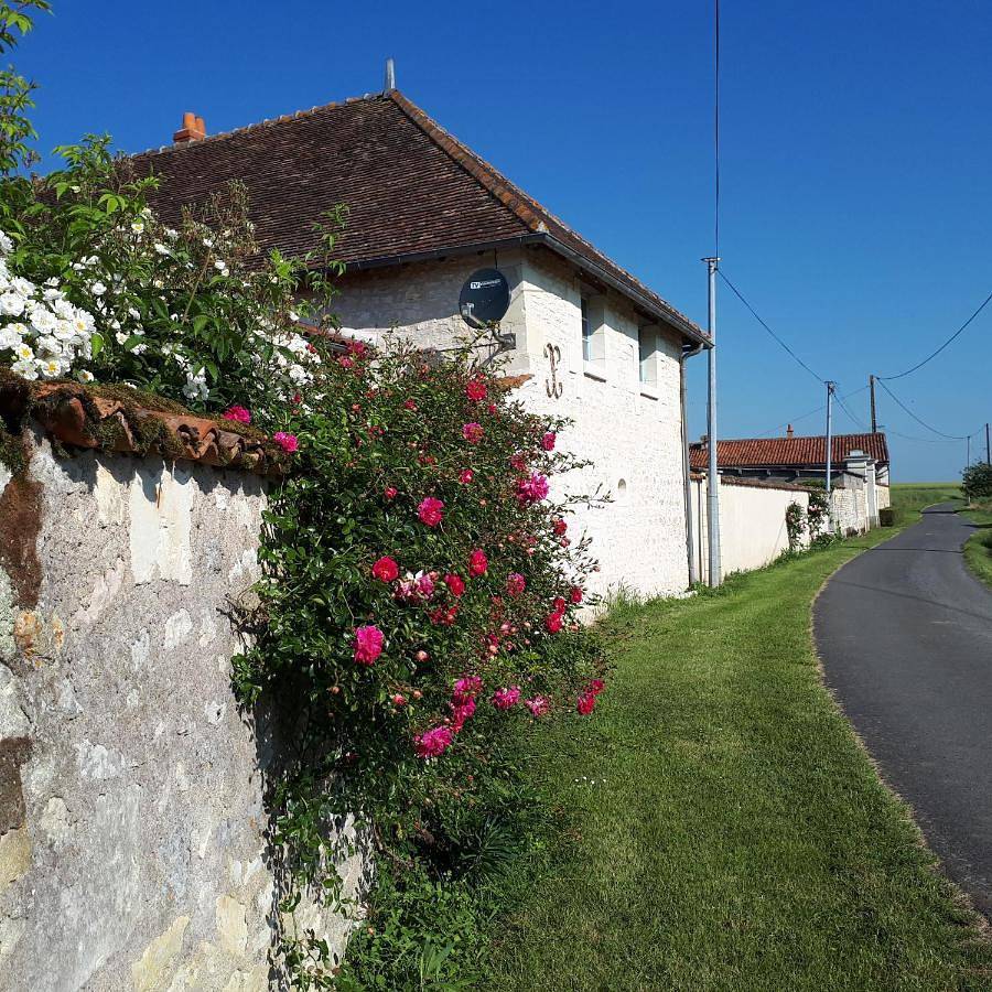 Gîte et chambres d'hôtes Le Chêne Billault in Nueil-sous-Faye, Vienne (France)