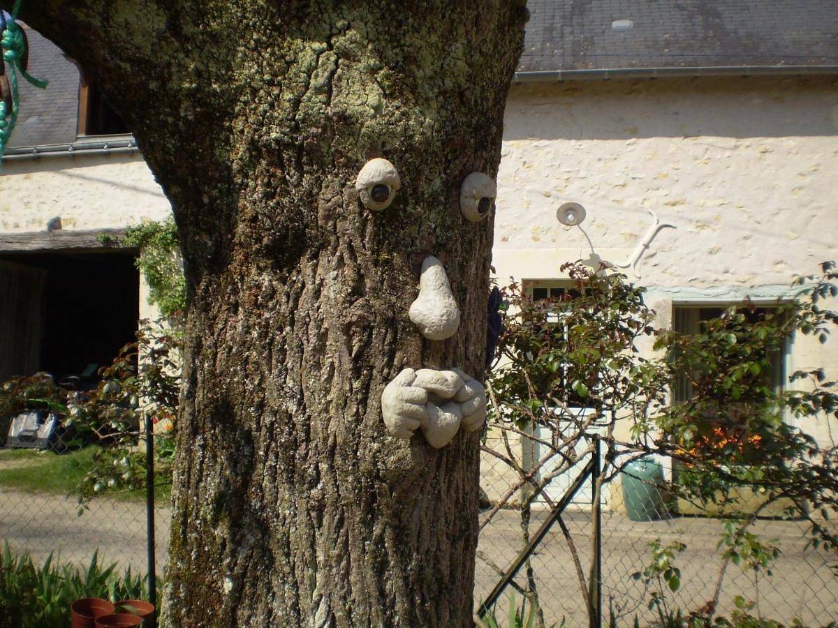 Double Room with Private Bathroom in Cheillé, Vallée de la Loire