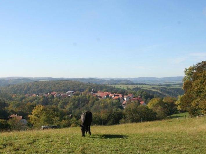 Ganze Ferienwohnung, Ferienwohnung Friedewald in Lichtenfels, Waldecker Land