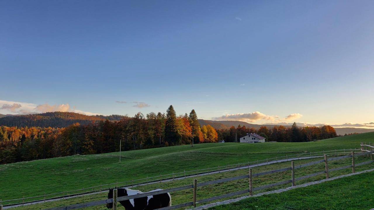 Gîte des 3 Marches in Lamoura, Parc naturel régional du Haut-Jura