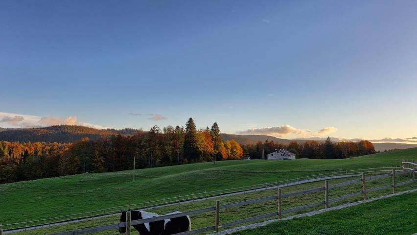 Location de vacances pour 6 personnes, avec terrasse ainsi que vue et jardin à Lamoura - 4