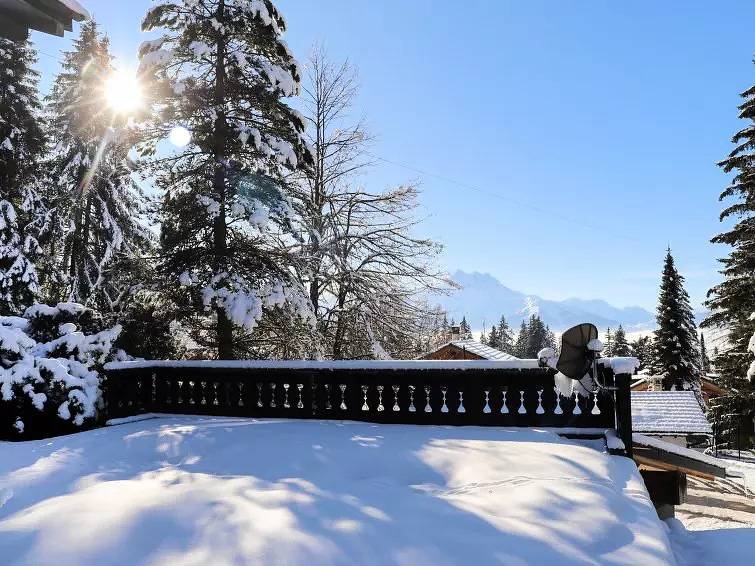 Chalet 11 Personnes in Villars-sur-Ollon, Ollon (Villars-sur-Ollon)