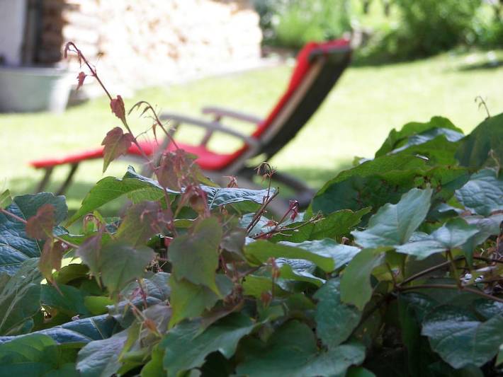 Ferienhaus für 6 Personen, mit Balkon und Garten in Oberstdorf - 4