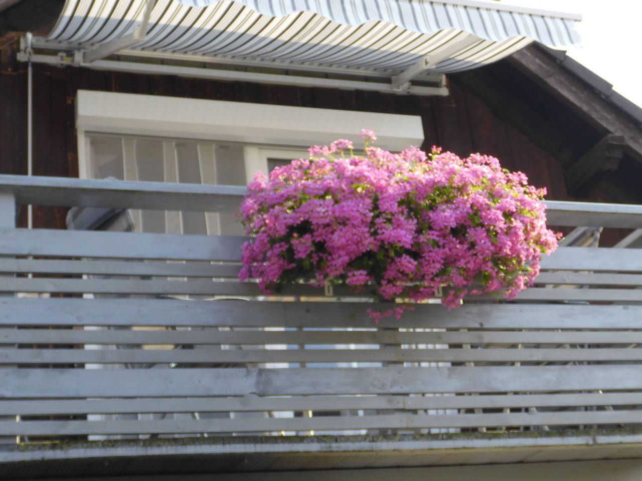 Ganze Wohnung, Wohnung in Heringhausen mit Grill in Diemelsee, die Mittelgebirge